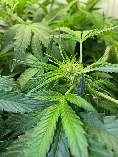 Growreport Bild 17