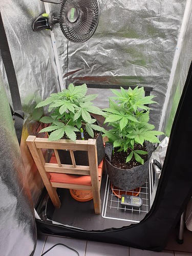Growreport Bild 13