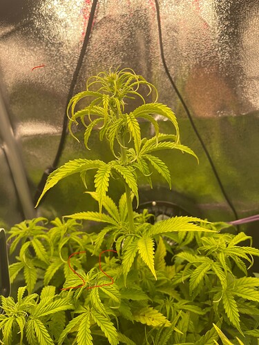 Growreport Bild 24