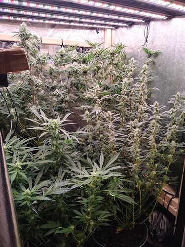 Growreport Bild 2