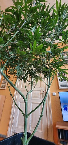 Growreport Bild 4