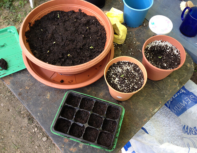 Growreport Bild 85