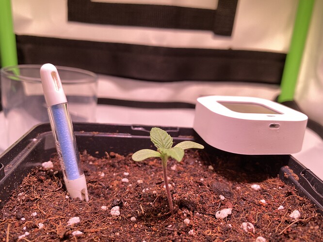 Growreport Bild 17