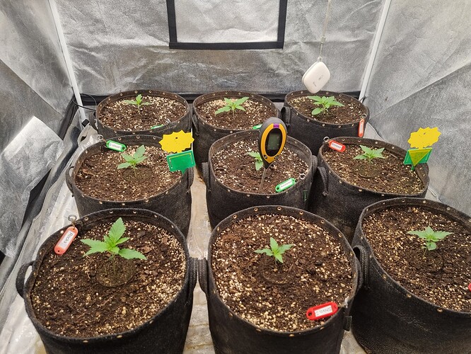 Growreport Bild 47