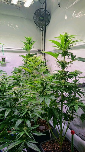 Growreport Bild 12