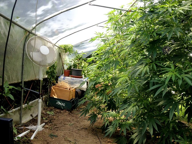 Growreport Bild 16