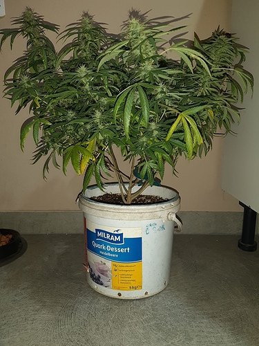 Growreport Bild 11