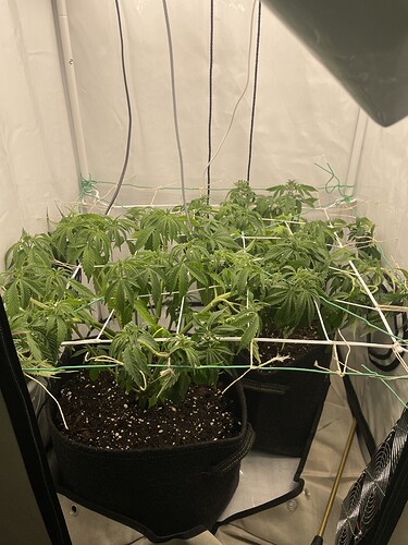 Growreport Bild 2