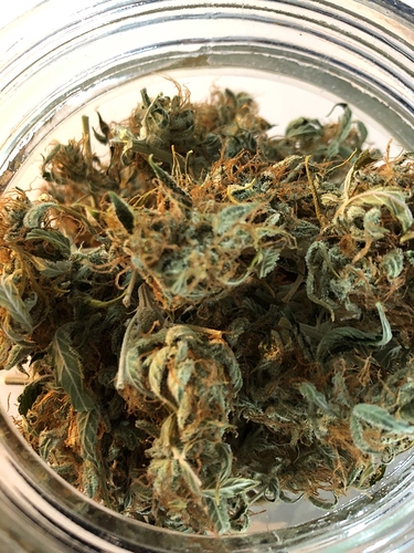 Growreport Bild 5