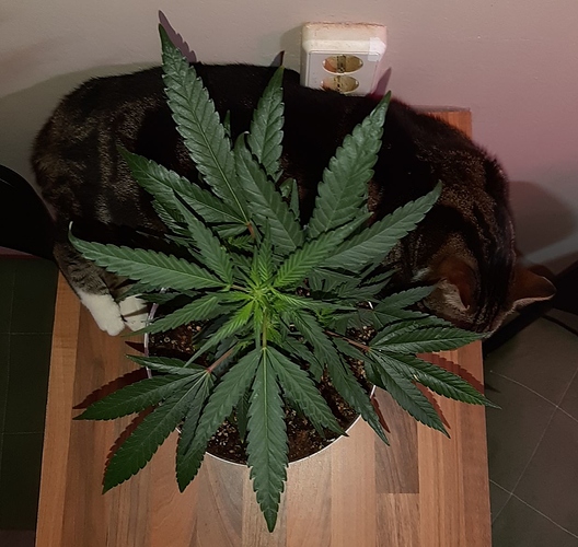 Growreport Bild 14