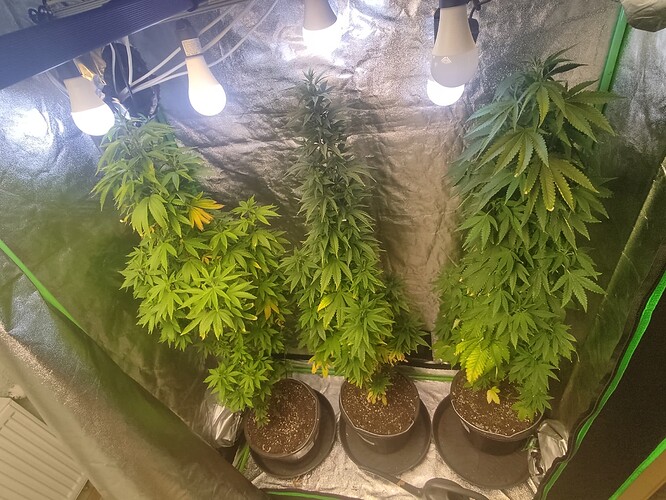 Growreport Bild 10