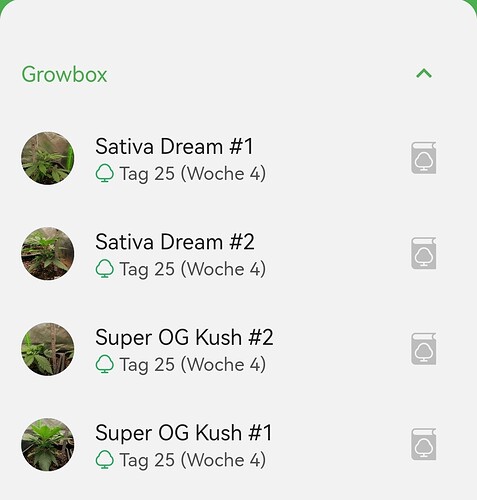 Growreport Bild 15
