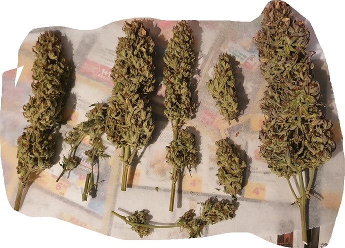 Growreport Bild 23