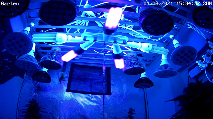 Growreport Bild 7
