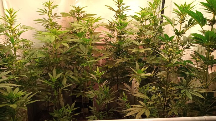 Growreport Bild 22