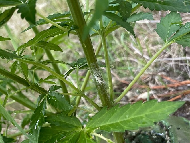 Growreport Bild 10
