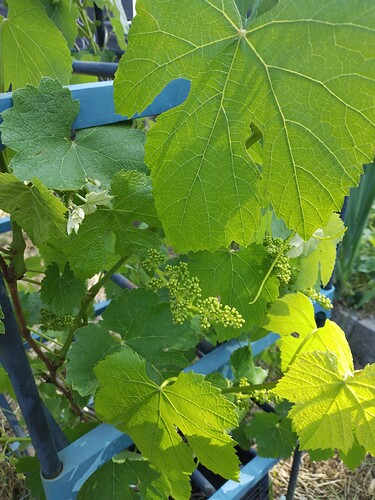 IMG_20230601_0948520601