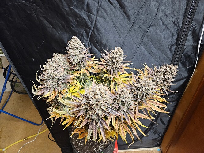 Growreport Bild 9