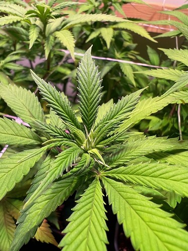 Growreport Bild 10