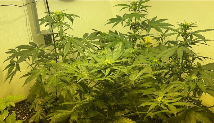 Growreport Bild 11