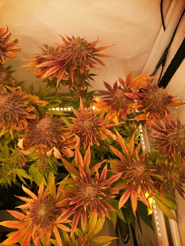 Growreport Bild 10