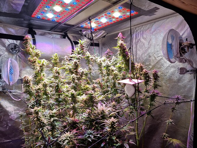 Growreport Bild 14