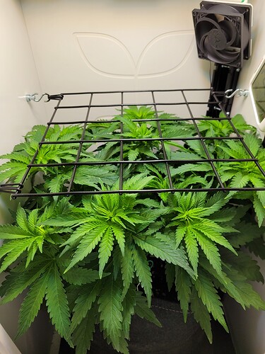 Growreport Bild 4