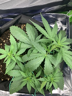 Growreport Bild 14