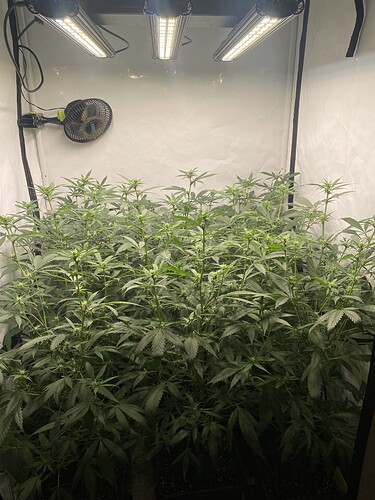 Growreport Bild 5