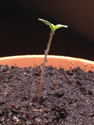 JD01_230411_giessen_2