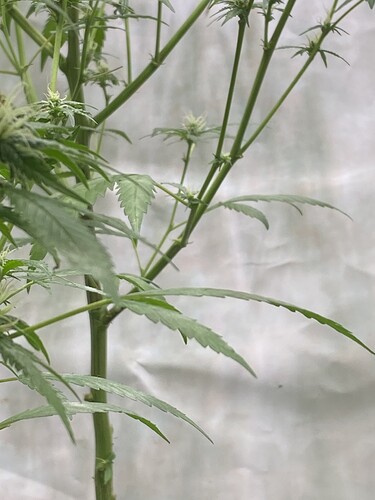 Growreport Bild 9