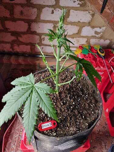 Growreport Bild 9