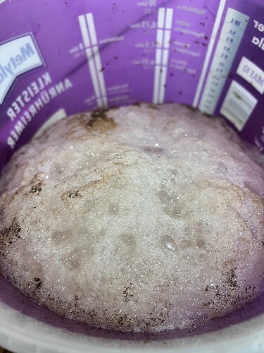 Growreport Bild 11