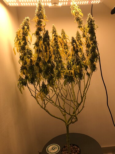 Growreport Bild 7