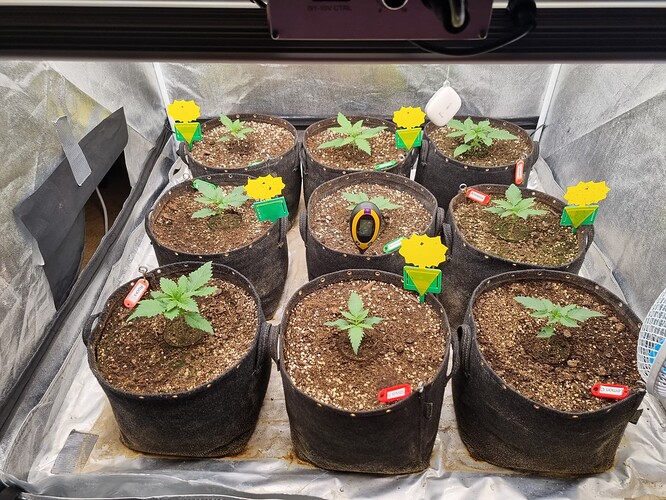 Growreport Bild 5