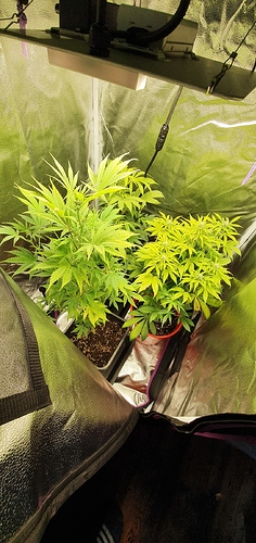 Growreport Bild 2