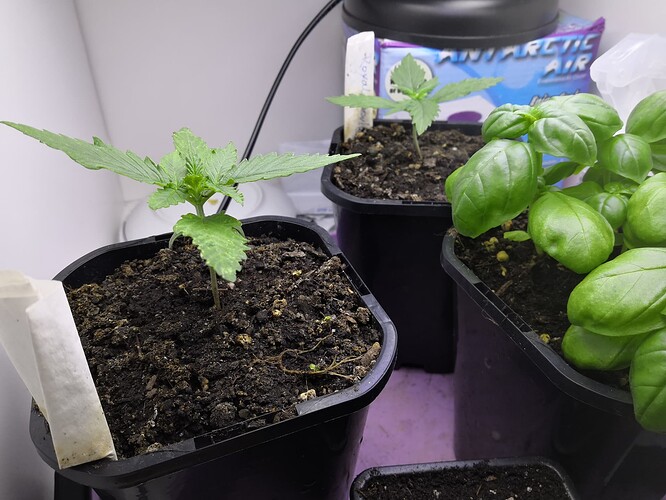 IMG_20230615_2041051