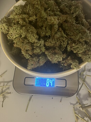 Growreport Bild 11