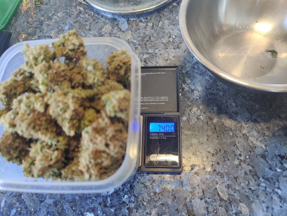 Ice Cream + Purple Punch Cookies + 2 x Zkittlez // 90x90 // Lumatek 200W
