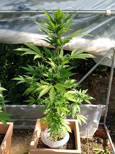 070_SiebterSiebter_10