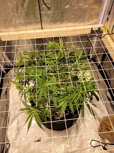 Growreport Bild 5