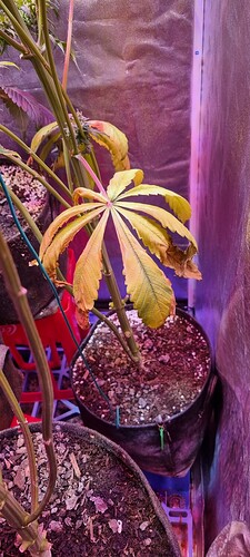 Growreport Bild 8