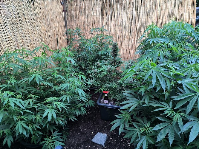 Growreport Bild 13