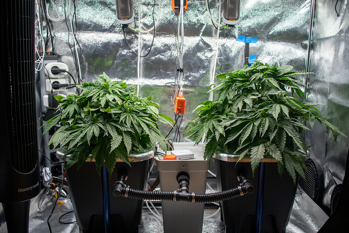 Growreport Bild 20