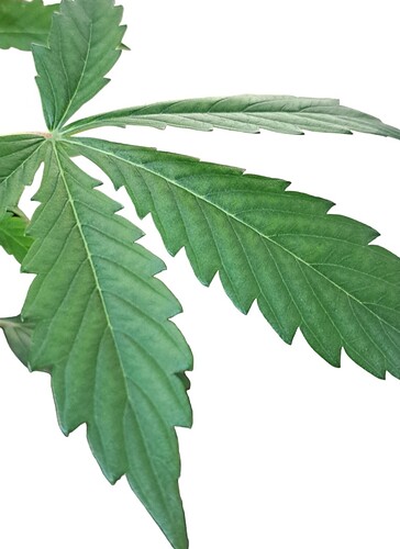 Screenshot_20231220_105301_PhotoRoom