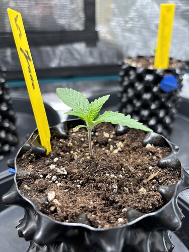 Growreport Bild 15
