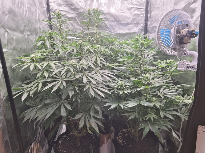 Growreport Bild 11