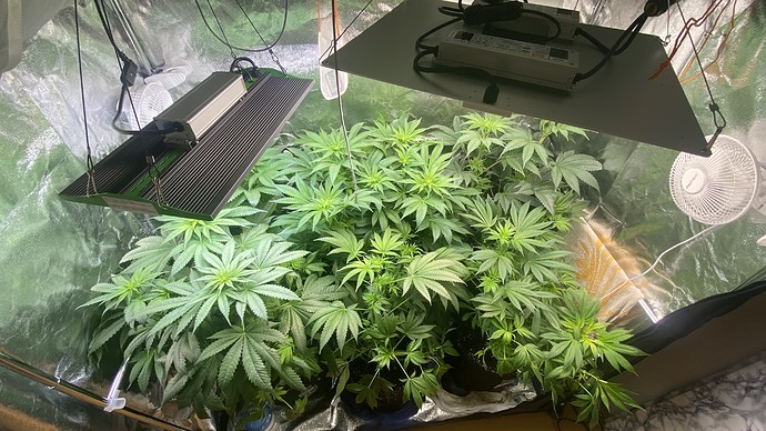 Growreport Bild 10