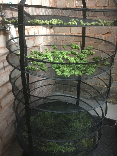 Growreport Bild 7
