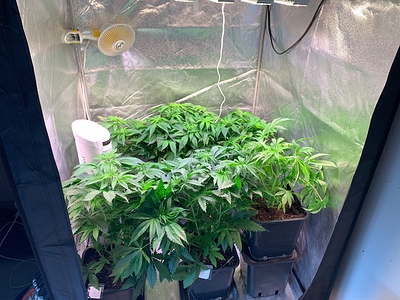Growreport Bild 20